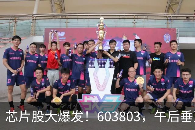 芯片股大爆发！603803，午后垂直涨停！